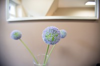 /album/fotogalerie-salon/hq9a5046-jpg/